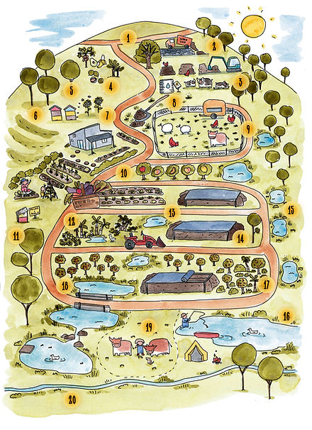Brenna Quinlan's permaculture illustration of our property map.jpg