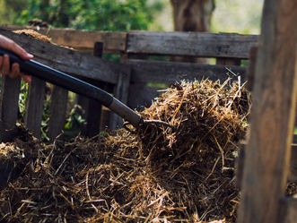 Creating living soil in your own backyard