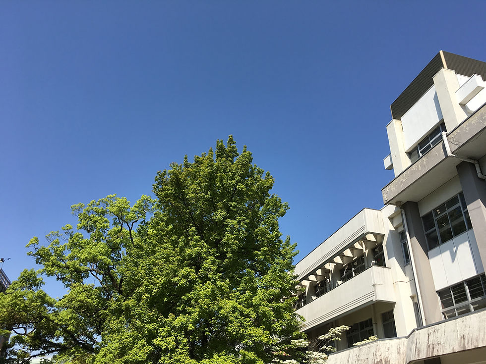 京都府立大栄養科学科