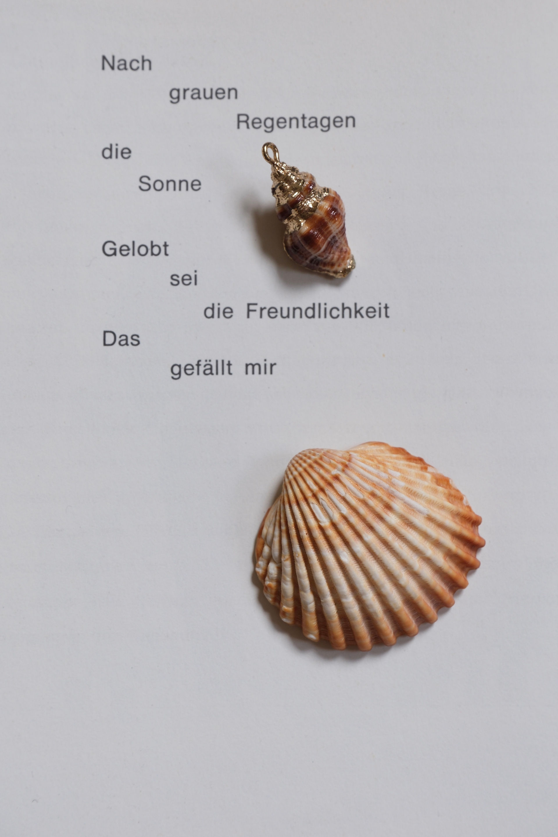 Shell pendant with golden details