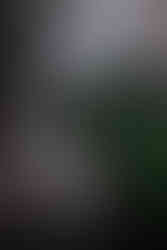 Wool making maschine