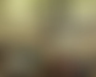 Loeper Addresses Lake Family Reunion