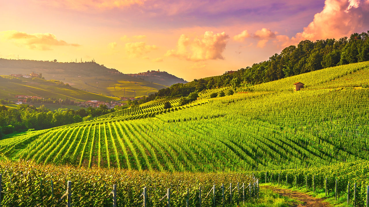 Langhe vineyards sunset panorama, Barolo and La Morra, Unesco Site, Piedmont, Northern Ita