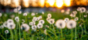 keegan-houser-6ArOP8cJoRI-unsplash_edited.jpg