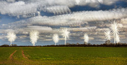 The Old Dalby Daisy's