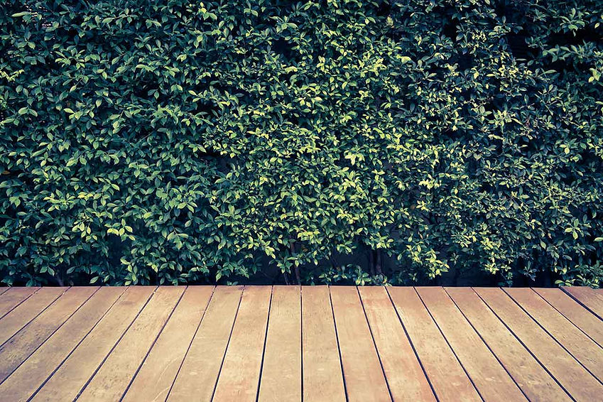 Superway_hedgegardenbackground_1280x853.jpg