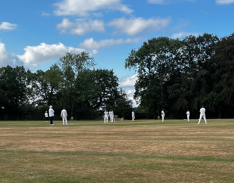 Tom Harrison reaches his 50
