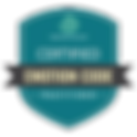 Emotion Code Certification
