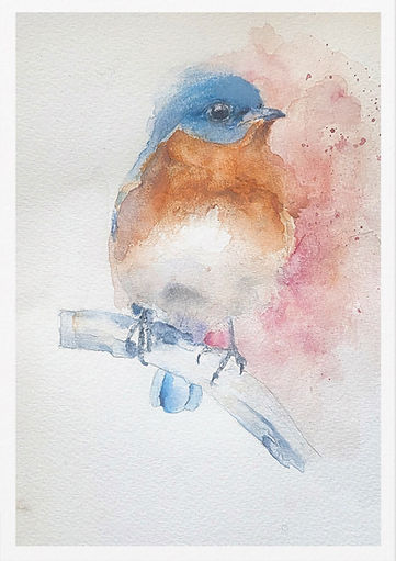 Easterrn Bluebird Watercolour Note Card 3.5x5 (1).jpg
