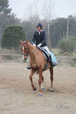 16422668_457198911071044_6251862139538278431_o