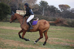 16299695_457200494404219_7613215821931816340_o