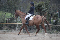 16422925_457199694404299_5681856157766162052_o