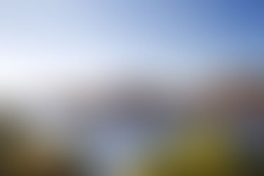 The Remarkable Tale of the Beautiful Morning Watch
