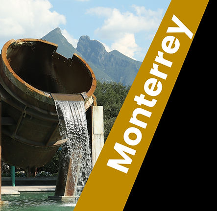 FESTIVAL FLAMENCO MX 2025  (6)_edited.jpg