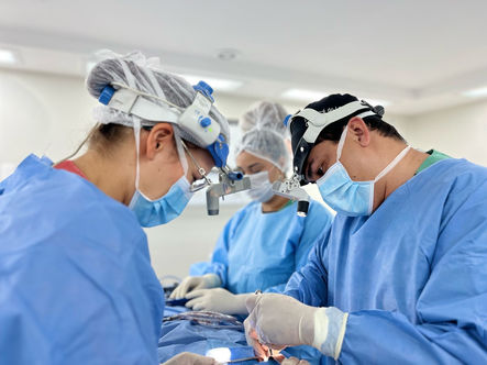 Rinoplastia pelo Convênio com o Dr. André do Lago em São Luís