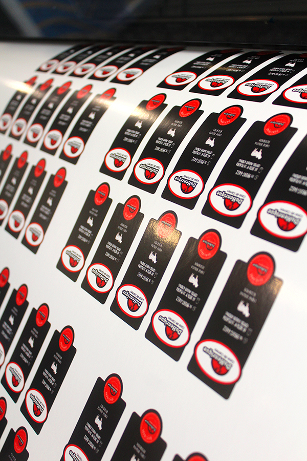 Cópia de IMG_7934.JPG