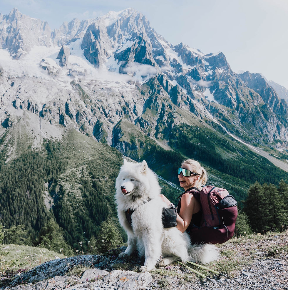 Tour du Mont Blanc - Fastpacking Abenteuer mit Hund & Zelt (6 Etappen)