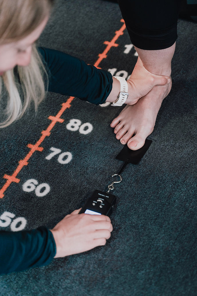 Thieme Artikel HV-3.JPG