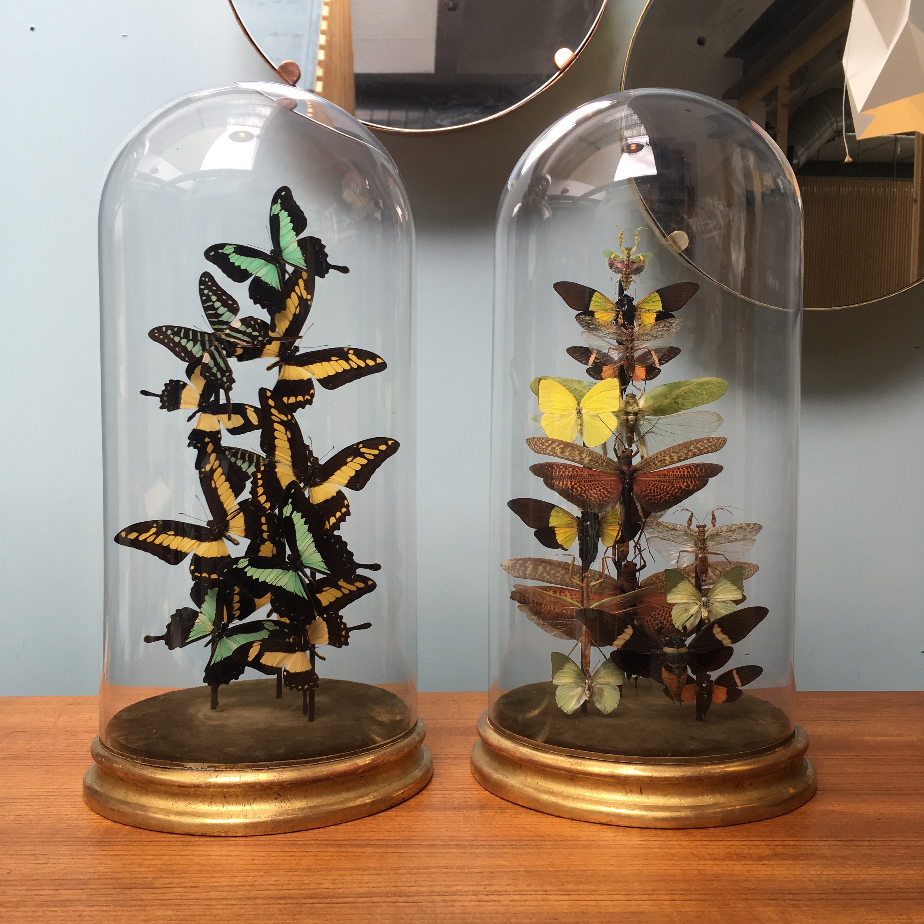 Green-Yellow Domes Duo