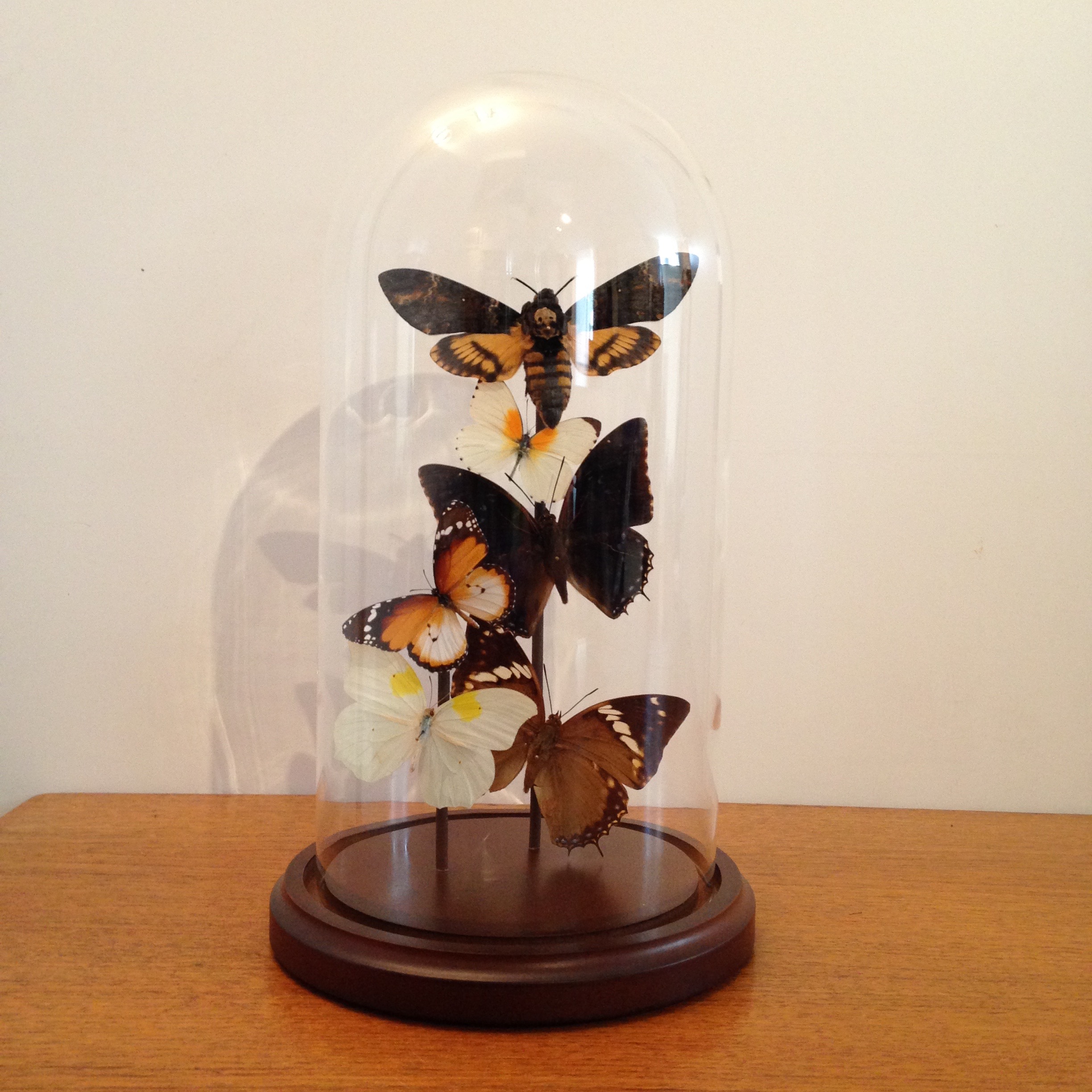 Autumn glass dome