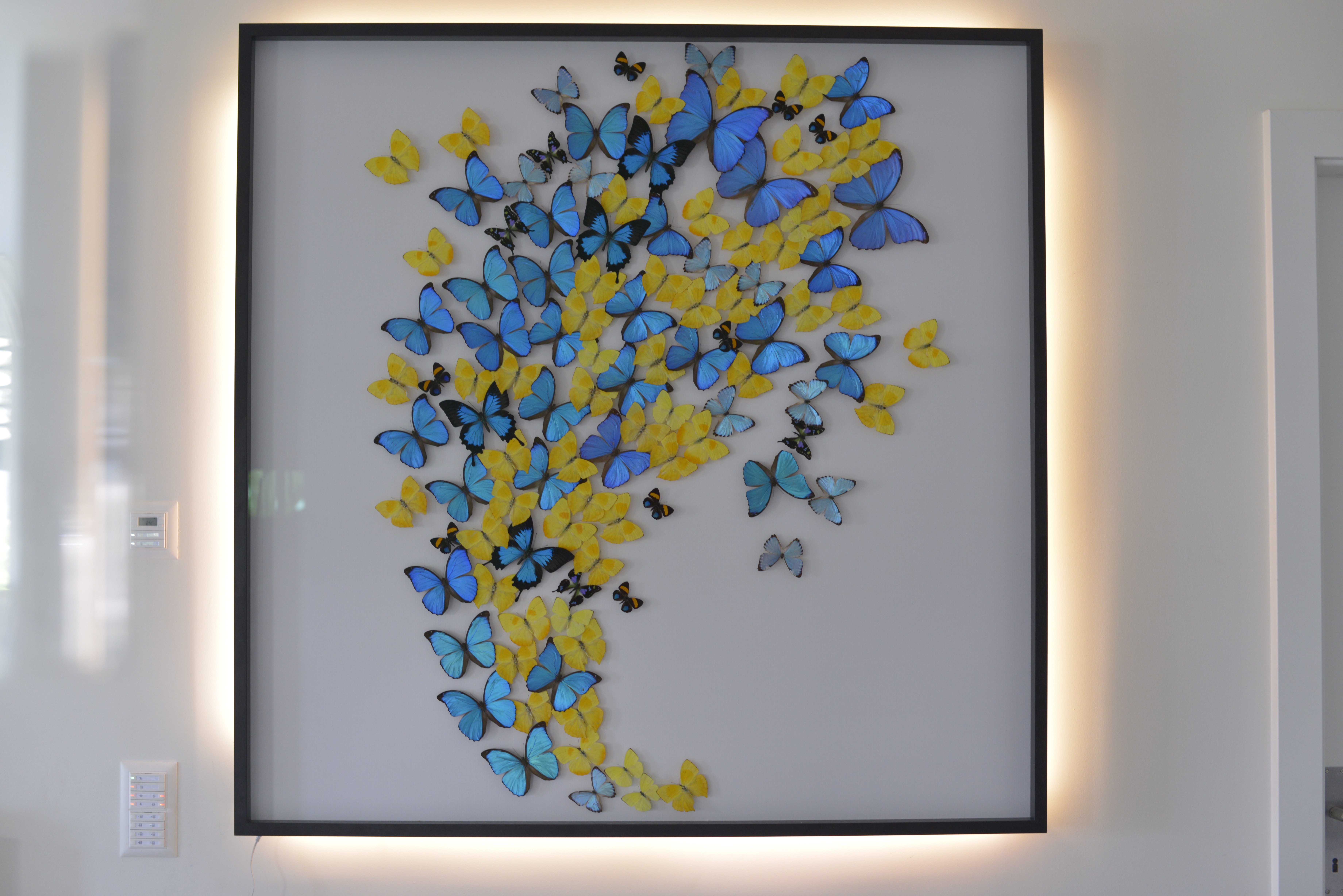 Envolée bicolore 120x120cm
