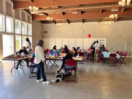 A Curiae’s First Community Day