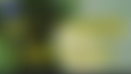 【054】広告制作で役立つ、画像の面積を計算する方法