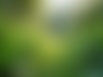 The Importance of Sustainable Living in Today's World