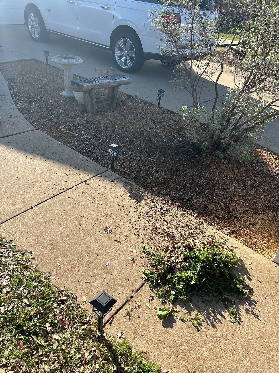 Weed Clean Out