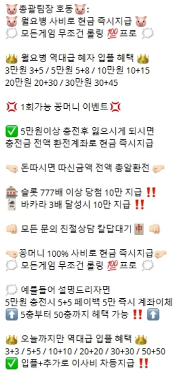먹튀텔레 호동