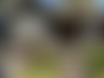 Two 3/1s Rented, Good Deals I Think.