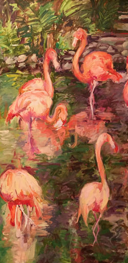 Jungle Park Flamingos