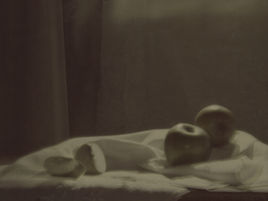Apple still life photography
