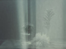Still life photography