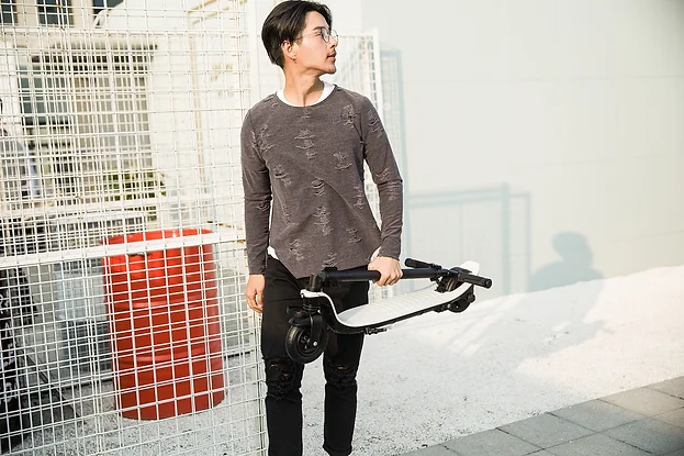 Electric scooter Joyor H1, 7.35kg, 250W, 16-18km/h, Distance 25km