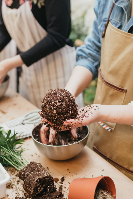 Plant Workshops as a CTA for a an Eventing Campaign?