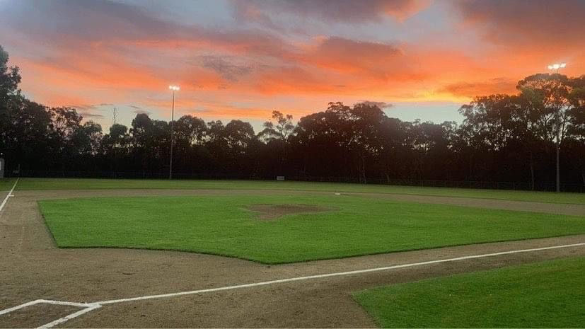 Field..JPG