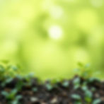 Old furniture, appliances, yard waste, and renovation debris hauled away by San Jose Junk Removal Pros with same-day pickup service.