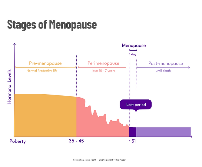 meno stages.png