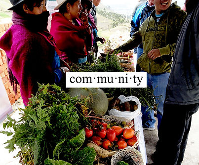 Groundswell - Image.jpg