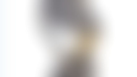 ISLTA presentation evening