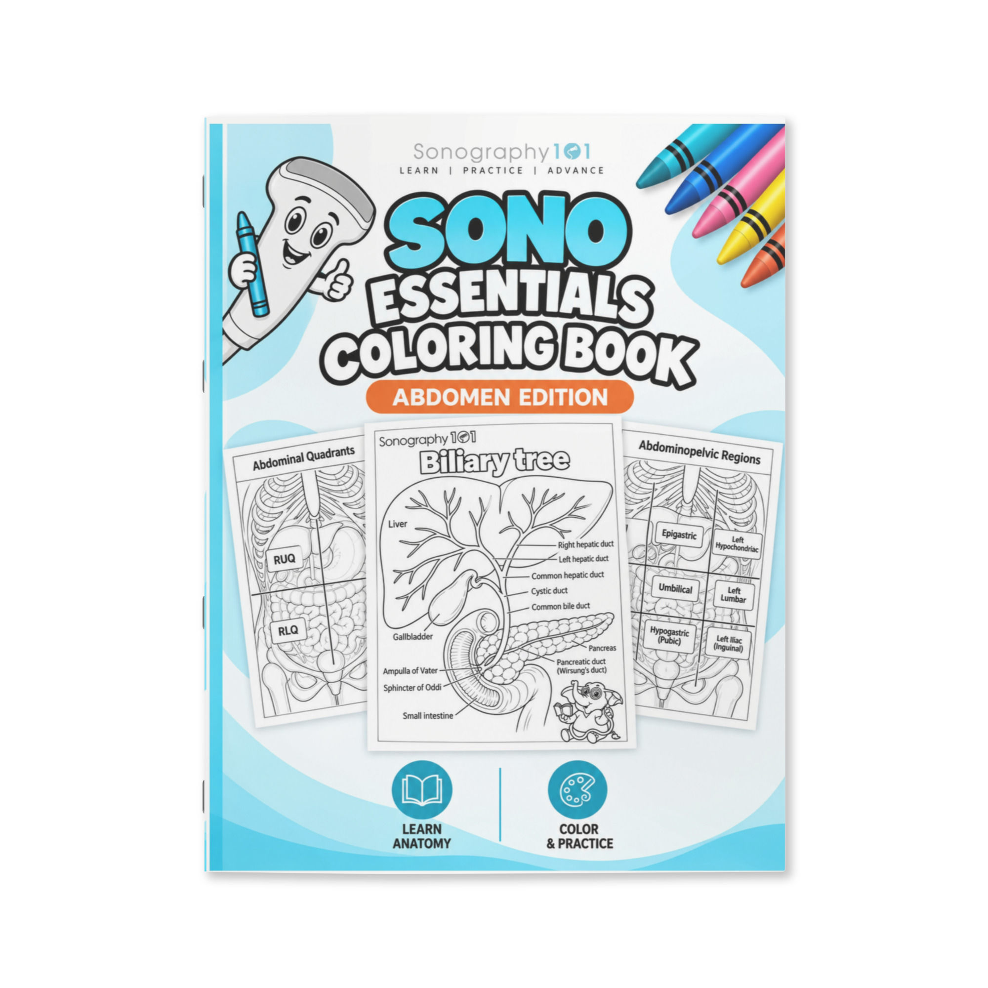 Sono Essentials Coloring Book: Abdomen Edition