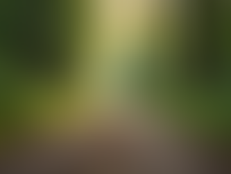 Transform Your Life with Our Christian Weight Loss Guide