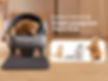 neakasa m1 picture with 3 catsin diferent sizes