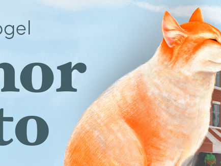 O gato que mudou uma vizinhança inteira