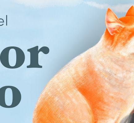 O gato que mudou uma vizinhança inteira