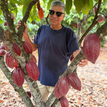 Dia Mundial do Chocolate marca nova era para o chocolate de verdade