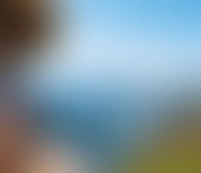 Festa das Vindimas do Douro, de comboio, é imperdível