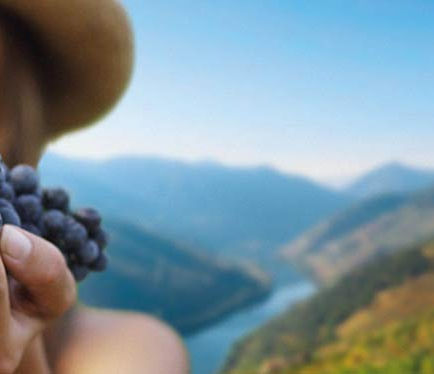 Festa das Vindimas do Douro, de comboio, é imperdível