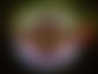 Vale da Música abre espaço para a Bossa Nova